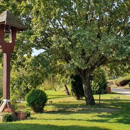 Pensionat Sarberki Horgaszto *