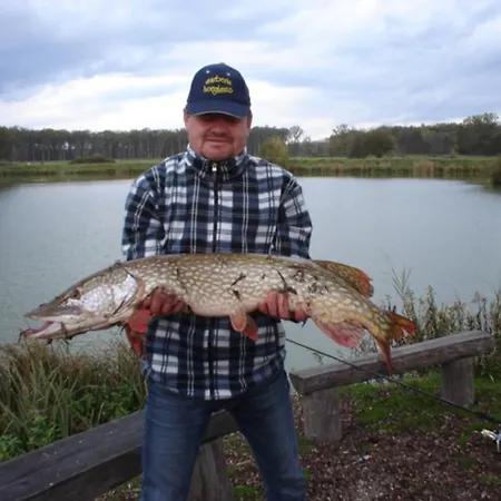 Pensionat Sarberki Horgaszto *